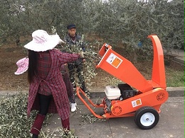 在网上如何分辨汽油枝条切碎机的好坏